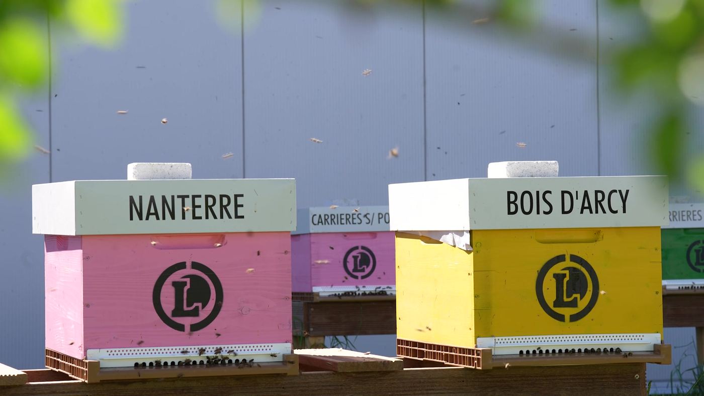La ruche Bois-d'Arcy, au rucher partenaire